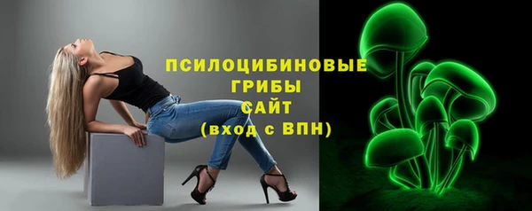 PSILOCYBIN Алексеевка