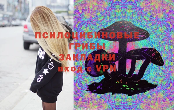PSILOCYBIN Алексеевка
